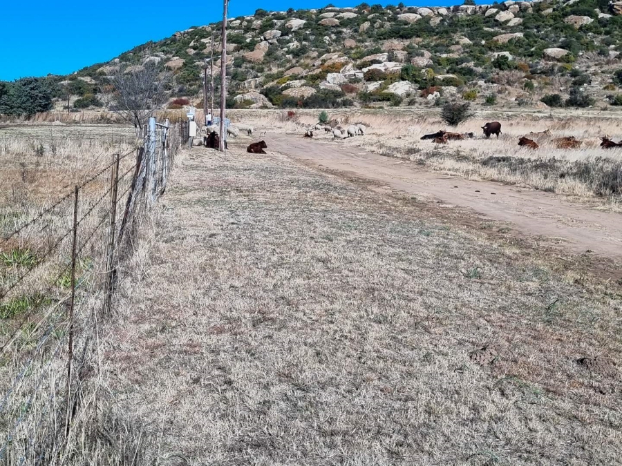 0 Bedroom Property for Sale in Paul Roux Free State